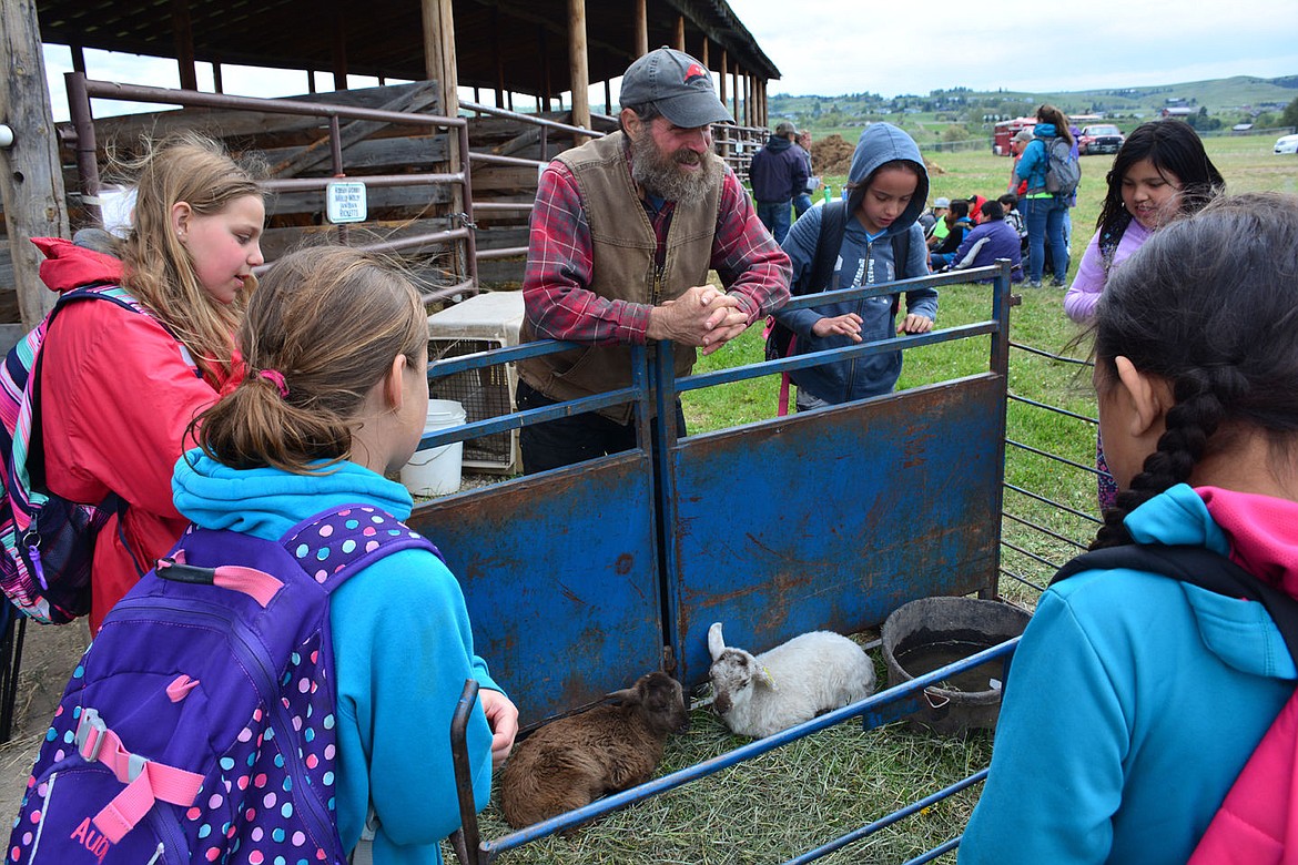 &lt;p&gt;&lt;strong&gt;Volunteer David Sturman shares baby llamas with fourth graders May 6.&lt;/strong&gt;&lt;/p&gt;&lt;p&gt;&lt;strong&gt;&#160;&lt;/strong&gt;&lt;/p&gt;