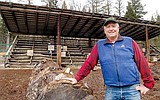 Activist says access to forest critical Head of multiple-use group pushes for active federal management