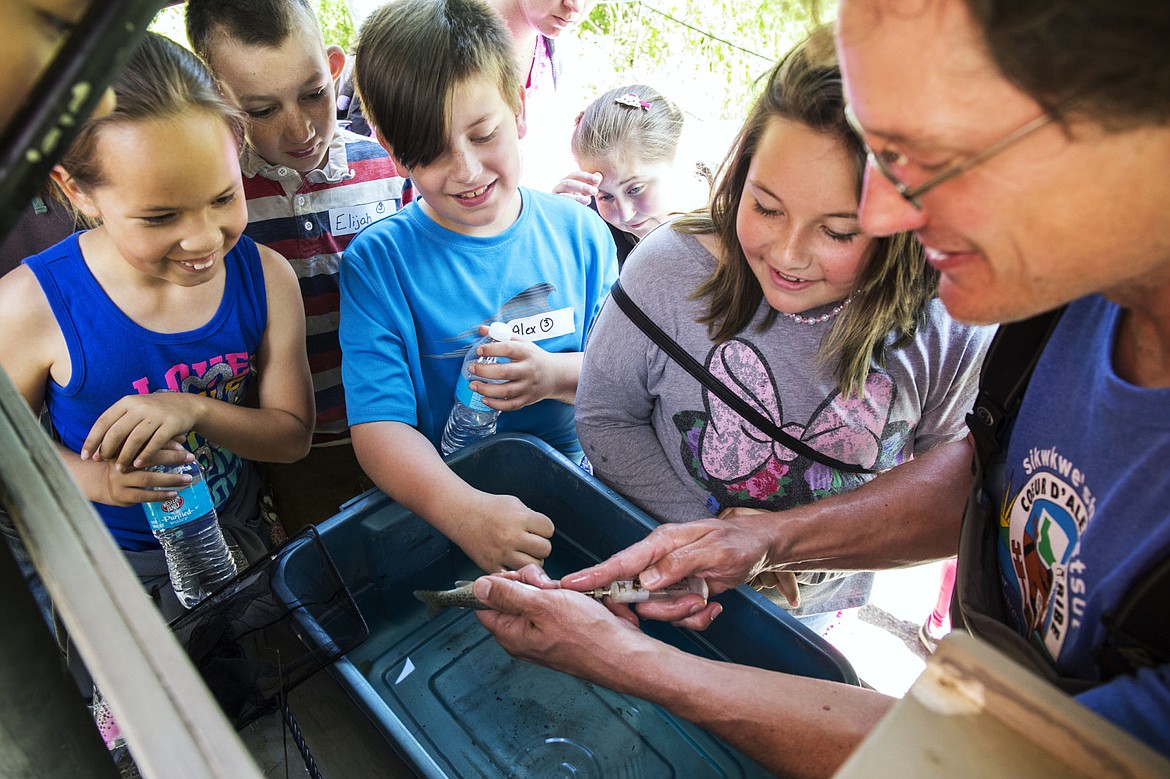 &lt;p&gt;Jon Firehammer, far right, explains to Mariah Ericsson, left, Alex Nash, middle, and Kenya Sanford, right, how cutthroat trout are tagged with a microchip to track the fish and collect data.&lt;/p&gt;