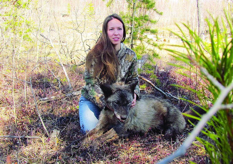 &lt;p&gt;Last week, Ashley Westphal shot a wolf during a hunt in Alberta, Canada.&lt;/p&gt;