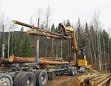 Federal Farm Bill could increase timber harvest