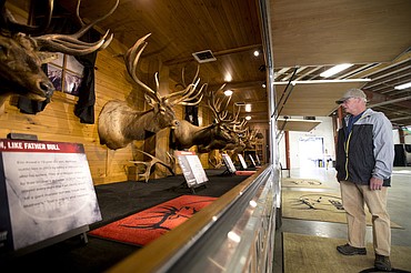 <p>JAKE PARRISH/Press Wayne Green checks out elk trophies on Saturday at the Rocky Mountain Elk Foundation exhibit at the Northwest Spring Fest at the Kootenai County Faigrounds.</p>