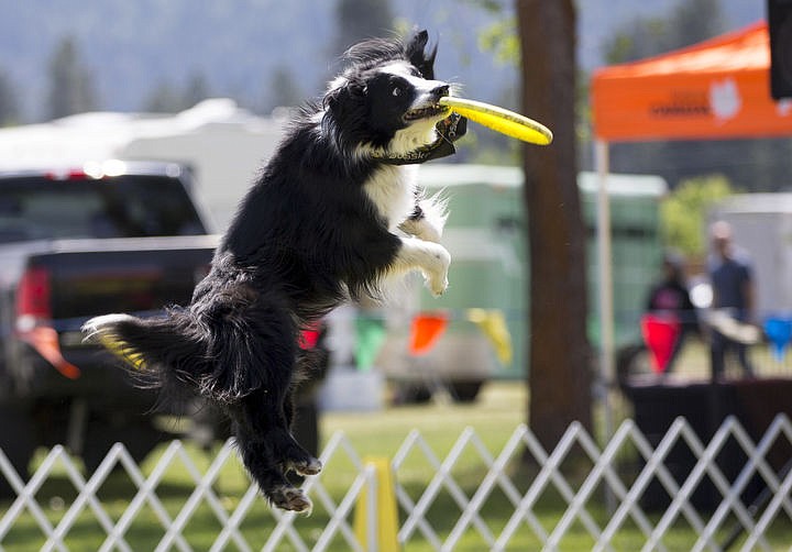 &lt;p&gt;The Northwest Spring Fest at the Kootenai County Fairgrounds features more than 100 vendors, exhibits and performances. The Fest continues Sunday, and is open to all ages.&lt;/p&gt;