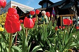 Downtown packed for Spring Art Walk