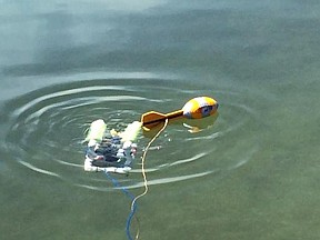 &lt;p&gt;A submarine tests out the water in Frenchtown Pond.&#160;&lt;/p&gt;