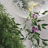 Celebrate Summer with DIY Party Decor