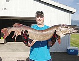 Monster pike taken in the Flathead