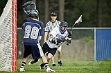 Viks top T-Wolves in NILL semis