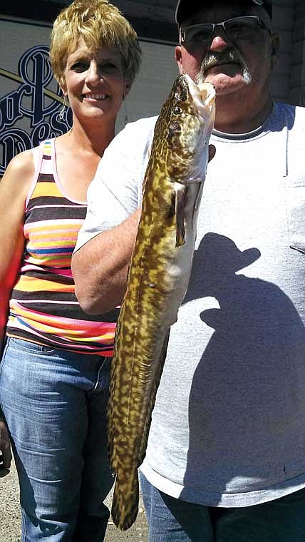 Randy Weil and Suzanne Leslie of Yakima caught this Burbot in the Lind Coulee arm of Potholes Reservoir.