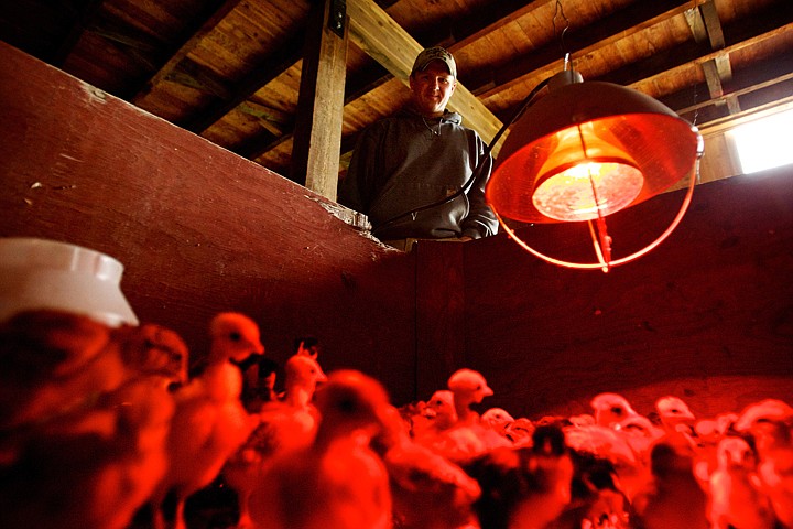 &lt;p&gt;David Tysdal raises chickens, cows and pigs on his farm near Stateline. Despite raising his animals for sale, he couldn't secure a permit from Kootenai County to hold farming classes on his land because it is considered a commercial use of his property.&lt;/p&gt;