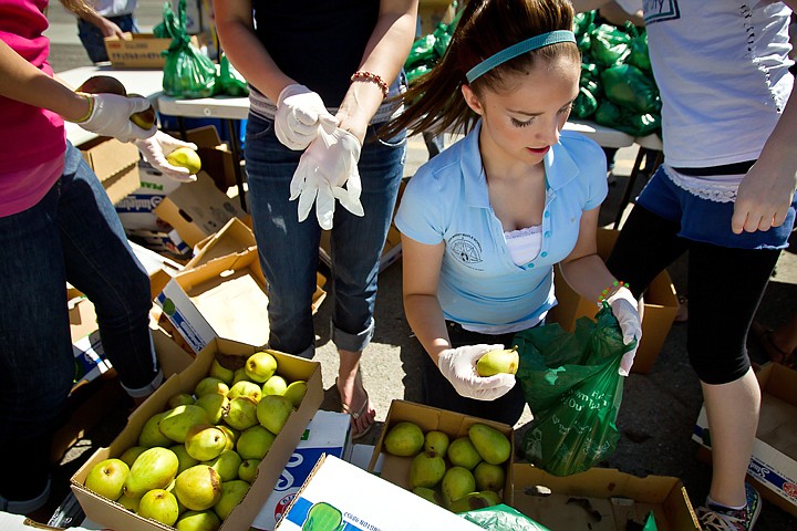 &lt;p&gt;JEROME A. POLLOS/Press Gabby Vietri helps sort and bag pears during the Second Harvest Food Bank distribution Thursday at Lakes Magnet Middle School in Coeur d'Alene. This is the fourth year Second Harvest has teamed up with Lakes Magnet Middle School to provide fresh produce to low-income families and senior citizens.&lt;/p&gt;