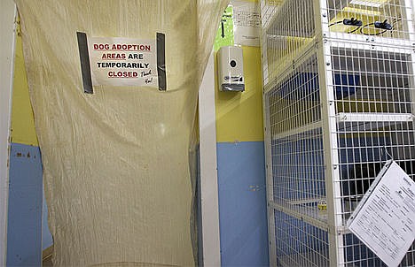 &lt;p&gt;A sign is placed at the doorway of a dog adoption wing Saturday at the Kootenai Humane Society in Hayden.&lt;/p&gt;