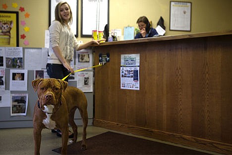 &lt;p&gt;Darla Rich waits with her dog at the front desk of the Kootenai Humane Society Saturday to pick up her other dog who was recently found and taken to the shelter in Hayden. The humane society has temporarily closed their dog adoption wings due to a distemper disease that has been recently discovered.&lt;/p&gt;