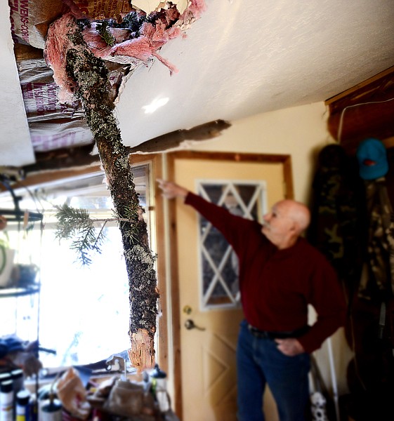 &lt;p&gt;Christian Kimbrough shows the damage done when a tree demolished his new wood shed and punctured through part of his ceiling on Tuesday, May 14, at his home in Creston. (Brenda Ahearn/Daily Inter Lake)&lt;/p&gt;