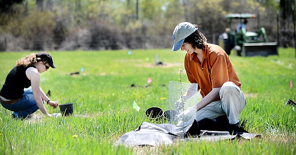 &lt;p&gt;Constanza von der Pahlen of Polson and others were out May 9 planting cottonwood trees along Steel Bridge Road in Kalispell. Pahlen is the Critical Lands program director for the Flathead Lakers. (Brenda Ahearn/Daily Inter Lake)&lt;/p&gt;