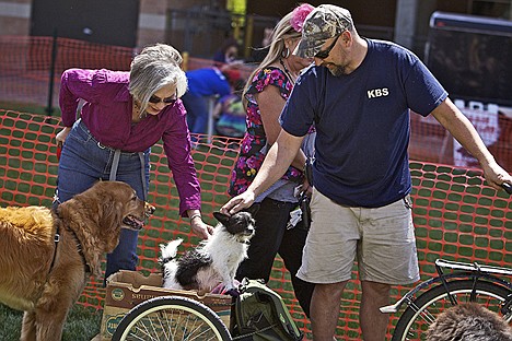 &lt;p&gt;Katherine VonHagen, and Louis Armstrong, an 8-year-old golden retriever, stop to visit Thomas Cole and his trailer-toted terrier-Chihuahua mix Tony Joe.&lt;/p&gt;