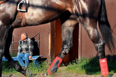 <p>Tom Reed, owner/trainer of Reed Racing, LLC., pauses from his morning chores to watch some of Norlander's horses. Reed and Norlander have been fairgrounds neighbors for the past ten racing seasons.</p>