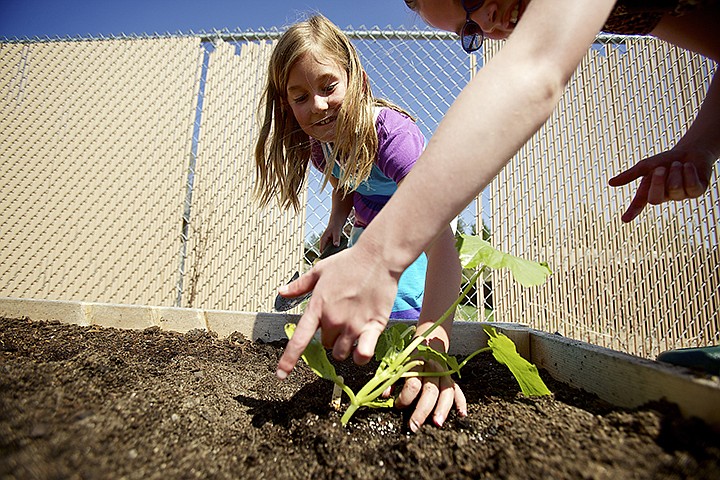 &lt;p&gt;JEROME A. POLLOS/Press Kaia Poorboy, left, and Sofia Sciascia, both 8, tend to a tomato plant in the Friendly Farmer garden Thursday at Hayden Meadows Elementary. The class will have its 7th annual plant sale Saturday from 9 a.m. to 2 p.m. with all funds raised being used to continue the greenhouse project.&lt;/p&gt;