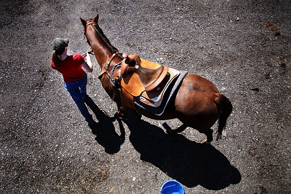 &lt;p&gt;Alyssa Hadley of Kalispell leads her horse Roxy to the arena at the Flathead County Fairgrounds for training on Monday afternoon, May 14, in Kalispell. Hadley is preparing for the Nervous Novice Horse Show, May 19, in Columbia Falls.&lt;/p&gt;