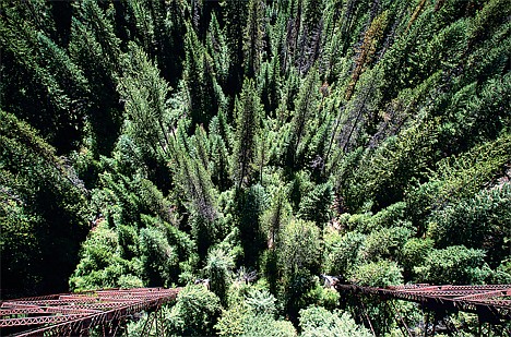 &lt;p&gt;Cyclists can experience a birds's eye view of the Idaho National Forest from the trestles of the Hiawatha bike trail.&lt;/p&gt;