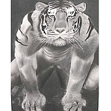 Othello art student earns trip to state show