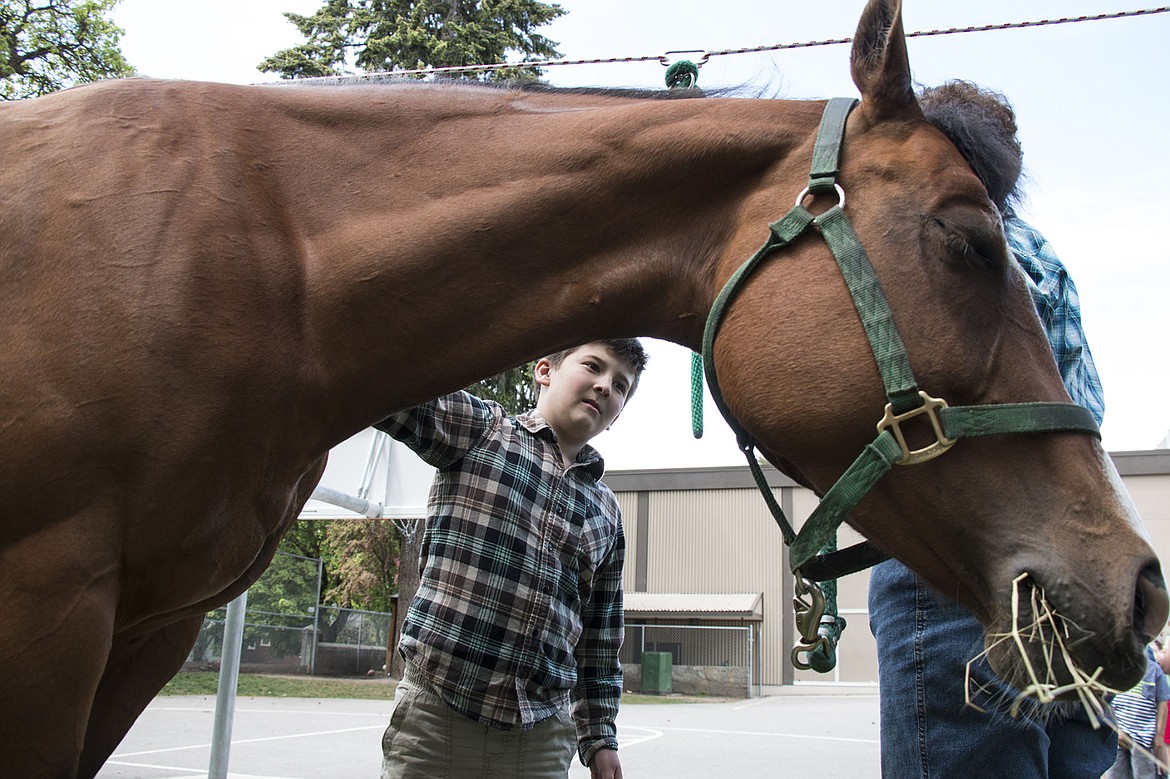 &lt;p&gt;Sorensen Elementary School third-grader Porter Waddell pets one of Principal Janet Ackerman&#146;s horses that she brought to school.&lt;/p&gt;