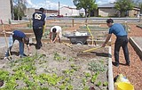 Growing healthy communities