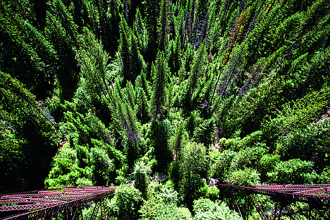 &lt;p&gt;SHAWN GUST/Press file Cyclists can experience a bird's eye view of the Idaho National Forest from the trestles of the Hiawatha bike trail.&lt;/p&gt;