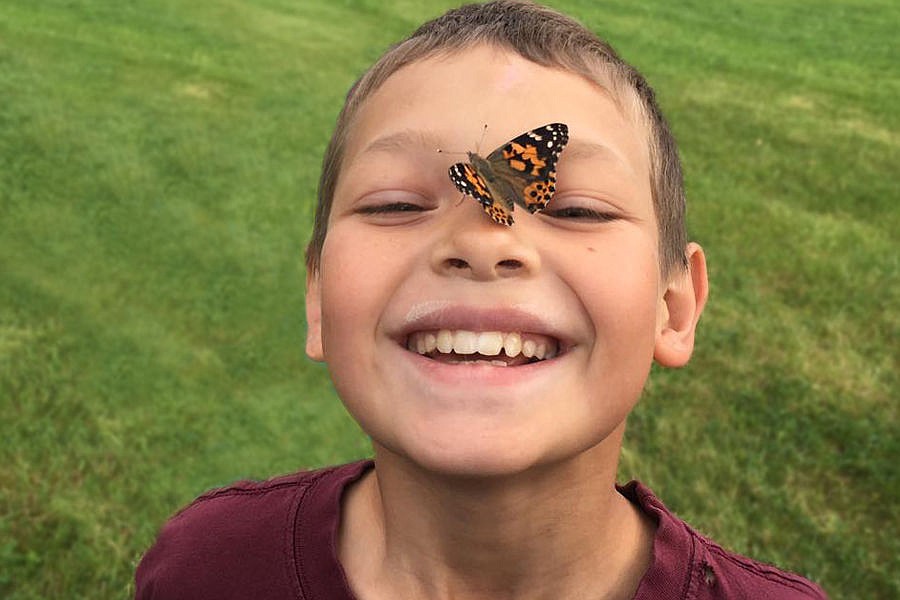 <p>Allan Ryan’s butterfly seems too attached to leave, as his class released butterflies a few weeks ago in Superior.</p>