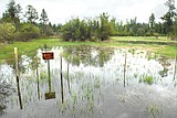 Rain adds to elevated rivers