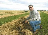 Storms leave hay growers under the weather