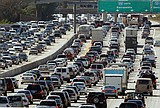 A crowded asphalt jungle?