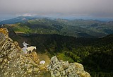 Flathead National Forest releases draft Forest Plan environmental impact statement