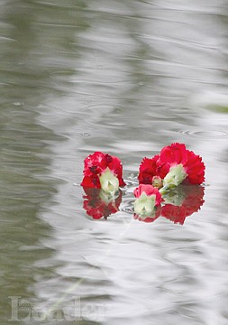 &lt;p&gt;Flowers float away in the Ronan City Park creek during Memorial Day observances Monday.&lt;/p&gt;