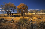 Parker Homestead State Park reveals bygone era