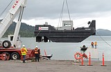 Zebra scare delays lake cleanup