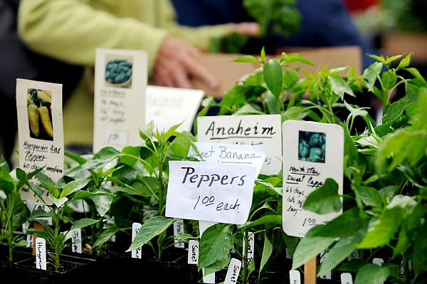 &lt;p&gt;Several varieties of peppers are for sale at the Whitefish Farmers Market on Thursday, May 29, in the Pin &amp; Cue parking lot.&lt;/p&gt;