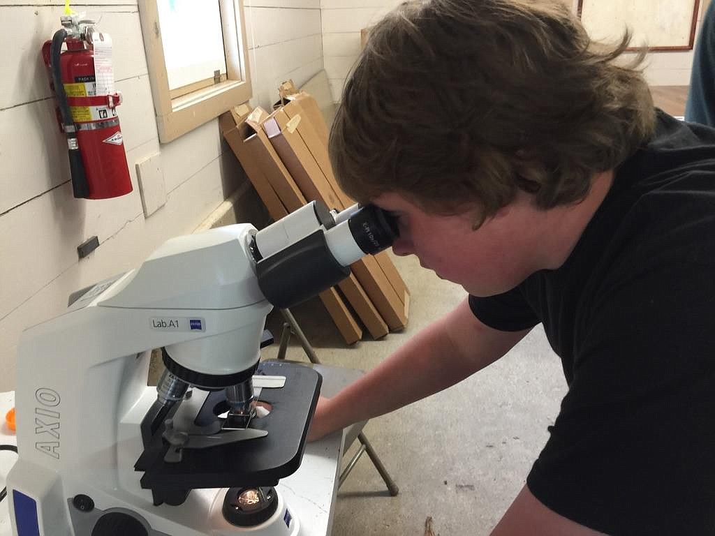 <p>Superior student, Marcus Mellen, looks at water parasites under a microscope at Outdoor School held at the historic Savenac Nursery last week.</p>