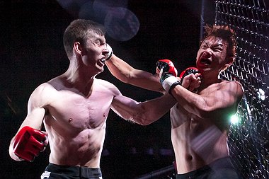 ARTICLE_305319983_H2_0_WSLSQGHWKOHS.jpg.