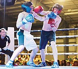 Cat-Dog boxing smoker set for June 3