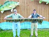 Fishing Report from the Mac Man