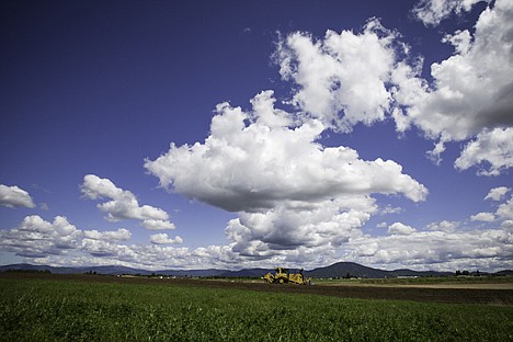 &lt;p&gt;A laborer operates a piece of heavy equipment to move soil Friday while construction continues on the North Idaho Sports Complex site on Huetter Road on the Rathdrum Prairie despite a stop work order being posted on Thursday.&lt;/p&gt;