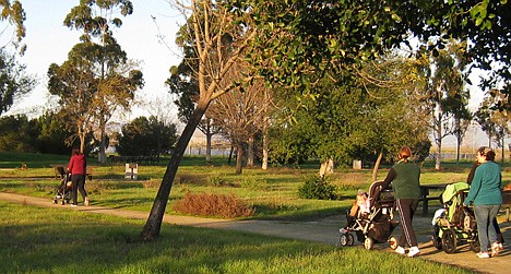 &lt;p&gt;Mothers with their babies and toddlers come out for a fast-paced Stroller Hike on the Park Perimeter Loop at Sunnyvale Baylands Park, in Sunnyvale, Calif., in 2012&lt;/p&gt;