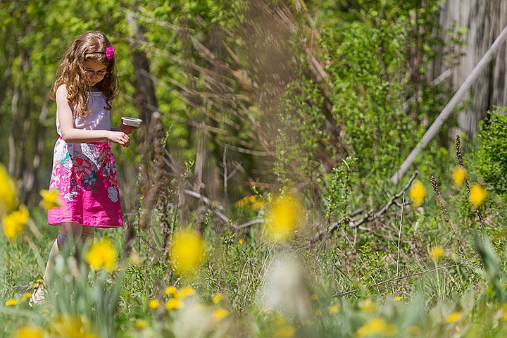 &lt;p&gt;SHAWN GUST/Press&lt;/p&gt;&lt;p&gt;Paige Stranahan, a first grade student at Joh Brown Elementary School, sprinkles wildflower seeds in the Rathdrum school&#146;s garden area, the Cougar Patch, during class on Monday. Idaho Transportation Department donated 20 pounds of seeds to the school for their outdoor learning garden. The school is holding a fundraising raffle to help fund the completion of the Cougar Patch. For information on the May 23 raffle, call John Brown Elementary School at 687-0551.&lt;/p&gt;