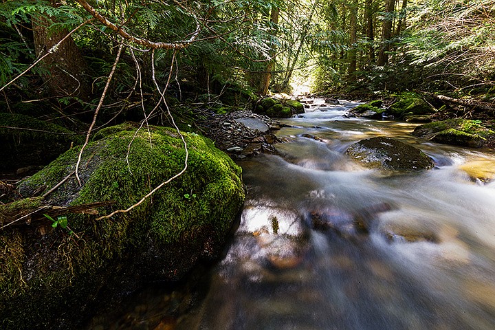 &lt;p&gt;SHAWN GUST/Press&lt;/p&gt;&lt;p&gt;Beauty Creek flows through the forest Wednesday with spring runoff feeding Lake Coeur d&#146;Alene.&lt;/p&gt;