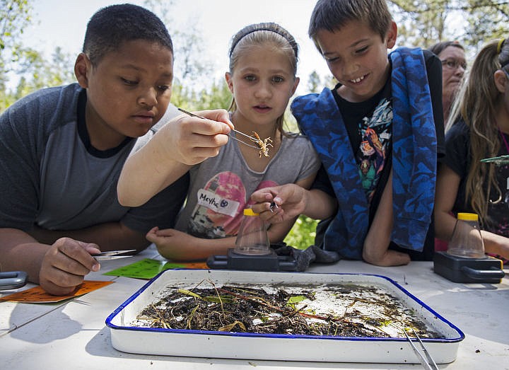 &lt;p&gt;LOREN BENOIT/Press Lakeside Elementary students Jonathan Jordan, left, Meyha Wienclaw, middle, and Quincy Hall, right, inspect a crayfish at a booth during the 14th annual Water Awareness Week event hosted by the Coeur d'Alene Tribe on Thursday, May 12, 2016.&lt;/p&gt;