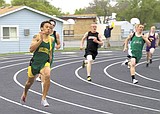 Dogs dominate 400