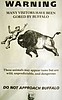 Yellowstone Dangerous Wildlife
