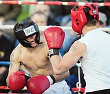 Cats smoke Dogs, win eight bouts
