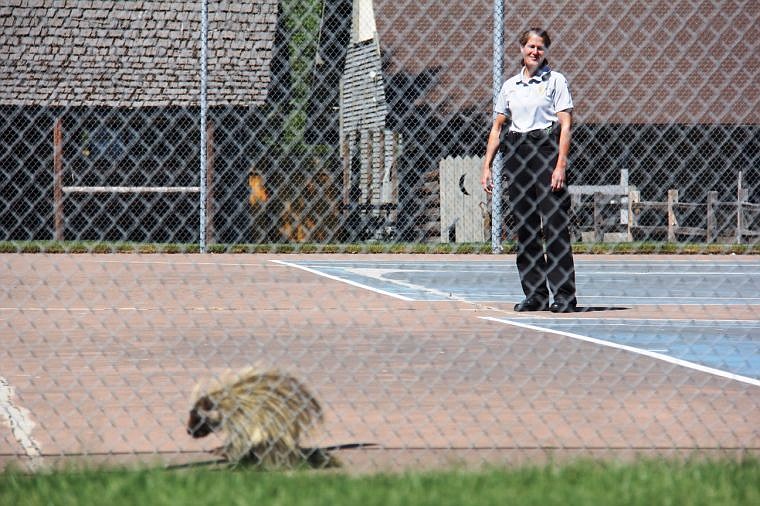 &lt;p&gt;Pictured is NIC Security Guard Kelly Hopkins keeping an eye on the visitor, a porcupine that wandered onto the community college campus.&#160;&lt;/p&gt;